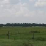 P5310011.JPG